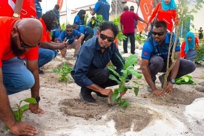 GoGreen 2026 plants 1,000 trees in HA. Dhidhdhoo