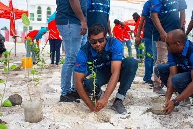 GoGreen 2026 plants 1,000 trees in HA. Dhidhdhoo